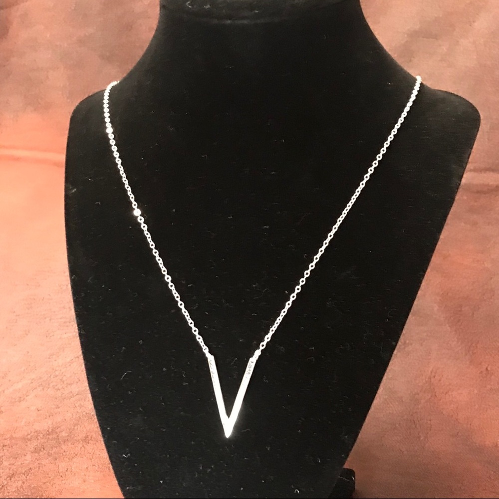 NWT Gorgeous Long V Necklace